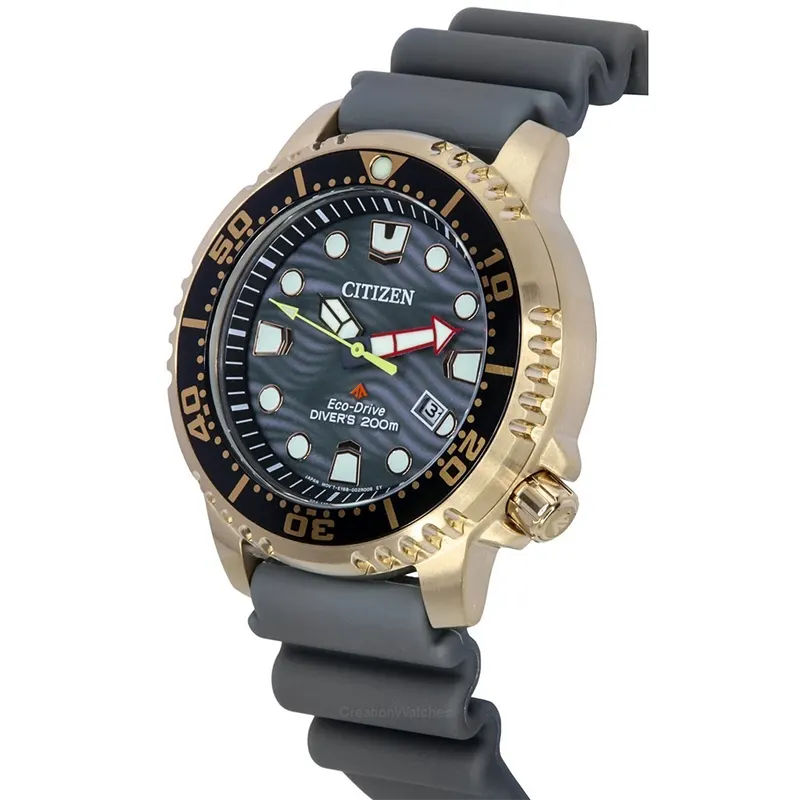 Citizen Promaster Grey Dial Eco-Drive Men's Watch- BN0163-00H